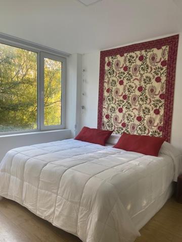 Appartamento Rubí, cálido y centrico Ushuaia Esterno foto